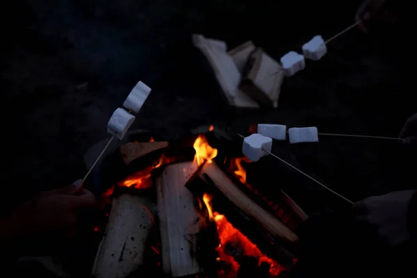 Menschen Die Nachts Lagerfeuer Marshmallows Braten Über Der Aussicht — Stockfoto