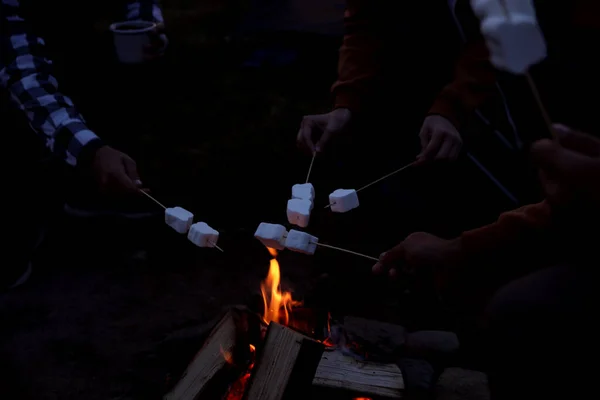 Menschen Die Nachts Lagerfeuer Marshmallows Braten Über Der Aussicht — Stockfoto