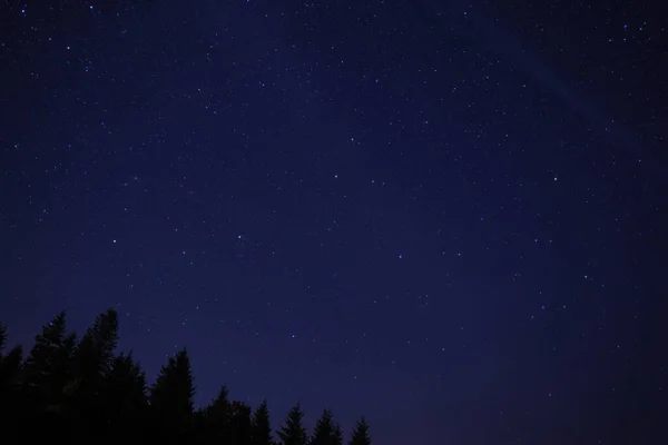 Pittoresca Vista Della Foresta Oscura Del Bellissimo Cielo Stellato Notte — Foto Stock