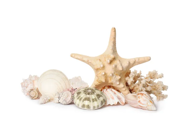 Piękne Rozgwiazdy Koralowce Muszle Morskie Białym Tle — Zdjęcie stockowe