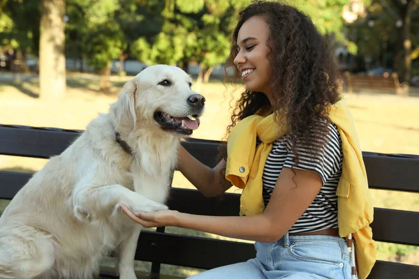 Young African American Woman Her Golden Retriever Dog Bench Park — Stock Photo, Image