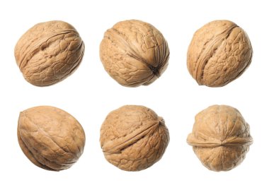 Beyaz arka planda lezzetli cevizlerle ayarlandı