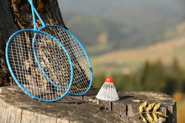 Badmintonschläger Und Federball Auf Holzstumpf Freien Raum Für Text — Stockfoto
