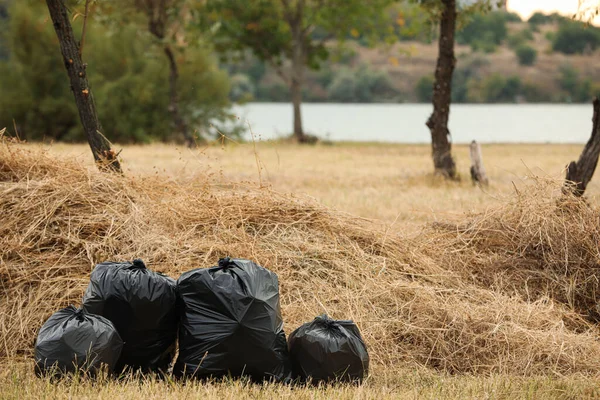 Çöplerle dolu çöp torbaları. Metin için boşluk