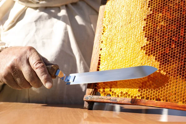Pszczelarz Rozpięty Plaster Miodu Nożem Przy Stole Zbliżenie — Zdjęcie stockowe
