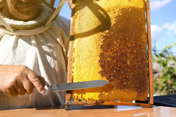 Старший Пчеловод Разворачивает Медовую Раму Ножом Столом Улице Крупным Планом — стоковое фото