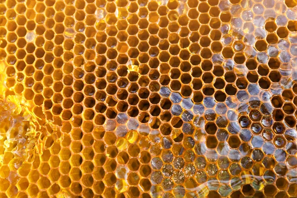 Csomagolatlan Töltött Méhsejt Háttér Közelkép — Stock Fotó