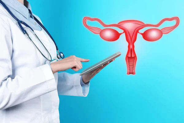 Lääkäri Tabletti Kuva Naisten Sukuelimiin Vaaleansininen Tausta Lähikuva Gynekologinen Hoito — kuvapankkivalokuva