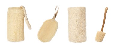 Doğal duş süngeri ve beyaz arka planda fırçayla ayarlayın. Pankart tasarımı