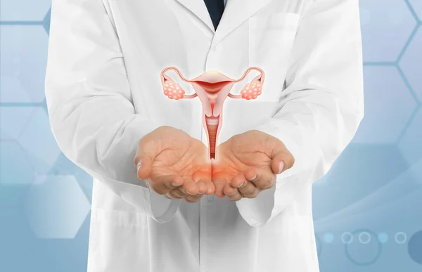 Doctor Demostrando Icono Virtual Con Ilustración Del Sistema Reproductor Femenino — Foto de Stock