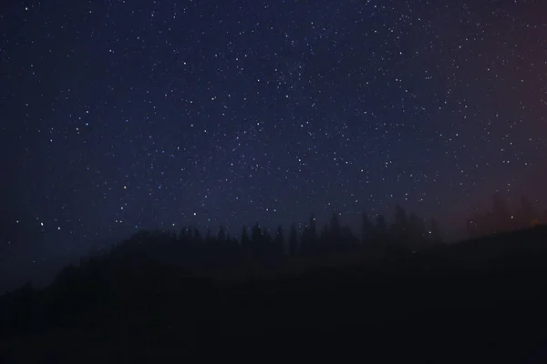 Pintoresca Vista Del Bosque Hermoso Cielo Estrellado Por Noche — Foto de Stock