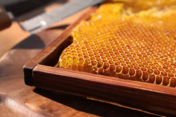 Cadre Nid Abeille Non Coiffé Sur Table Bois Gros Plan — Photo