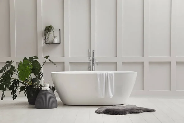 Moderna Vasca Bagno Ceramica Pianta Verde Vicino Alla Parete Bianca — Foto Stock