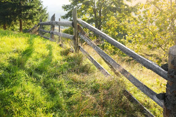 Wooden fence and bright green grass outdoors on sunny day