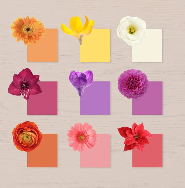 Πολύχρωμα Λουλούδια Και Κάρτες Παρόμοιων Αποχρώσεων Λευκό Ξύλινο Φόντο Κολάζ — Φωτογραφία Αρχείου