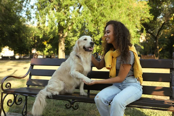 Junge Afroamerikanerin Und Ihr Golden Retriever Hund Auf Parkbank — Stockfoto