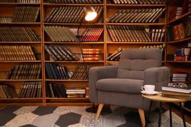 Rahat koltuk ve raflarda antika kitap koleksiyonuyla ev kütüphanesi iç mimarisi