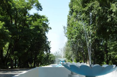 Güneşli bir günde parkta güzel bir çeşme manzarası