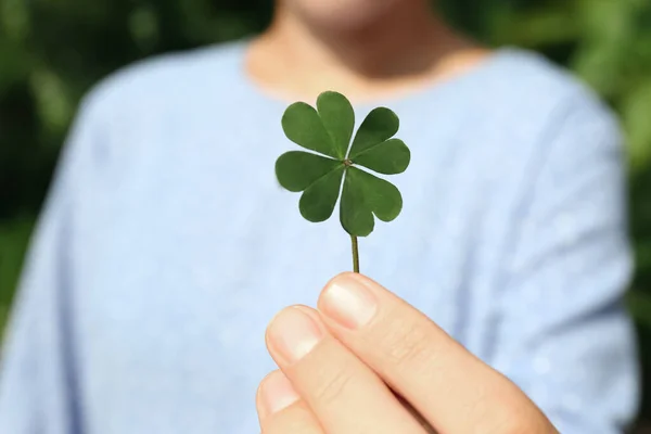 Woman Holding Green Four Leaf Clover Outdoors Closeup — Stock Photo, Image