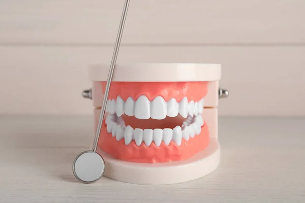 Modelo Mandíbula Con Dientes Espejo Dental Sobre Mesa Madera Blanca — Foto de Stock