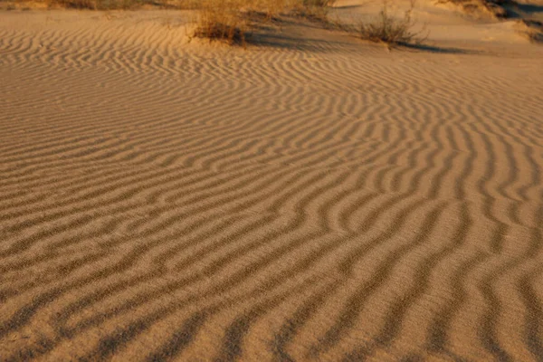 Прекрасный Вид Песок Пустыне Солнечный День — стоковое фото