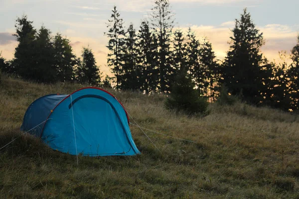 森林附近山丘上的蓝色露营帐篷 文字空间 — 图库照片