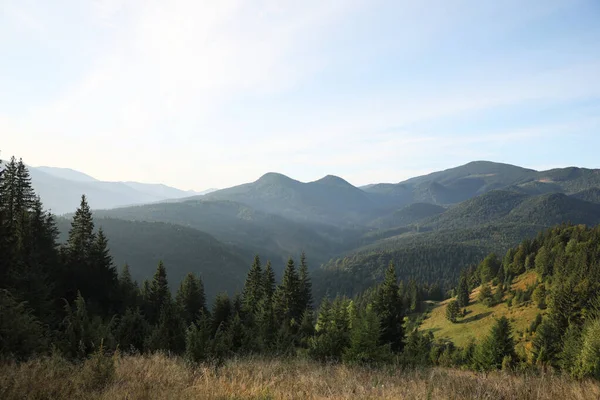 Malowniczy Widok Górski Krajobraz Lasem Słoneczny Dzień — Zdjęcie stockowe