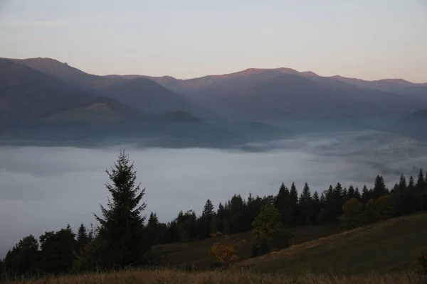 Pintoresca Vista Las Montañas Cubiertas Niebla Por Mañana —  Fotos de Stock