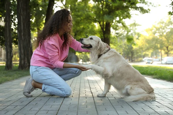 Young African American Woman Her Golden Retriever Dog Park — Stock Photo, Image