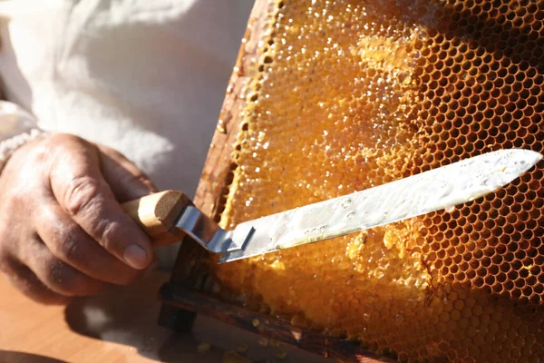 ナイフとハイブのフレームを切断した養蜂家 クローズアップ — ストック写真