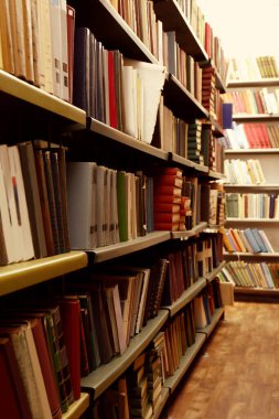 Kütüphanedeki raflarda farklı kitapların koleksiyonu