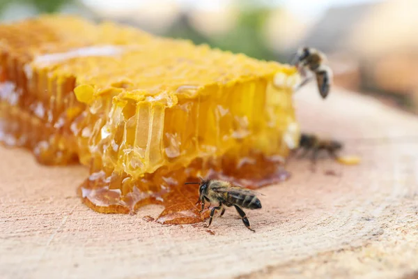 Stück Frische Wabe Mit Bienen Auf Holzstumpf Vor Verschwommenem Hintergrund — Stockfoto