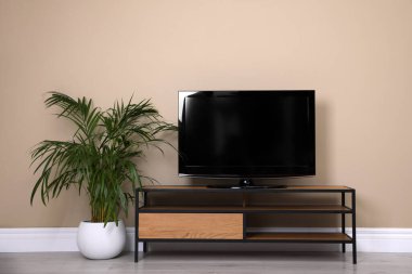 Boş ekranlı modern televizyon dolabı ve bej duvarlı ev bitkisi