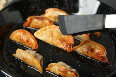 Kızgın yağlı tavada gyoza pişiriyorum, yakın plan.