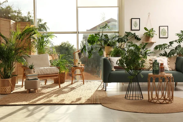 Intérieur Élégant Chambre Avec Différentes Plantes Intérieur Meubles Près Fenêtre — Photo