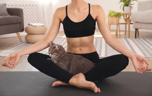 Vrouw Met Kat Oefenen Yoga Thuis Close — Stockfoto