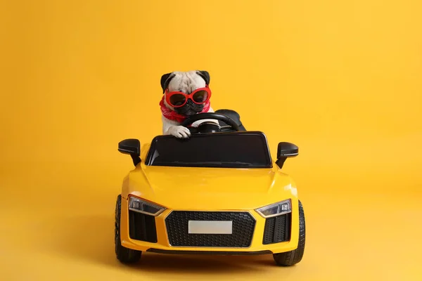 Gracioso Perrito Con Gafas Sol Coche Juguete Sobre Fondo Amarillo —  Fotos de Stock