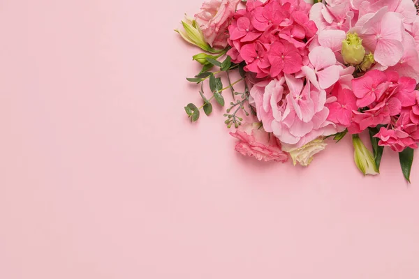 ピンクの背景にホルテンシアの花と美しい組成物は フラットレイアウト テキストのスペース — ストック写真