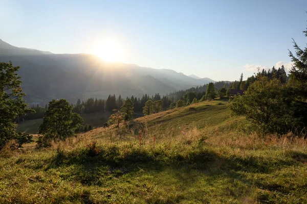 Sol Mañana Brillando Sobre Los Pastos Las Montañas —  Fotos de Stock