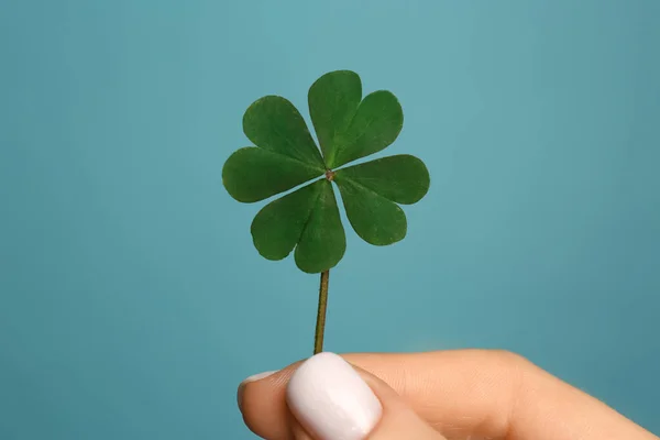 Kvinna Som Håller Gröna Fyra Blad Klöver Ljusblå Bakgrund Närbild — Stockfoto