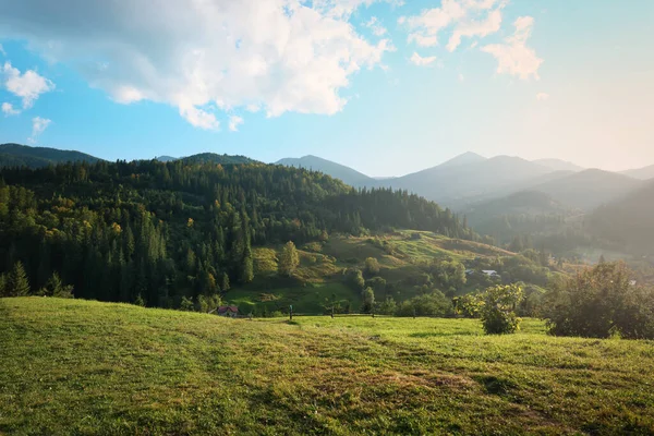Bela Vista Pasto Verde Nas Montanhas Dia Ensolarado — Fotografia de Stock