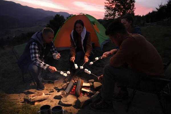 Gruppo Amici Arrostimento Marshmallow Falò Campeggio Serata — Foto Stock