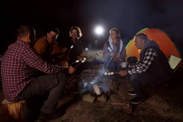 友人のグループは 夕方にキャンプ場でたき火でマシュマロを焙煎 — ストック写真