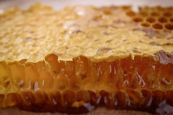 stock image Uncapped filled honeycomb as background, closeup view