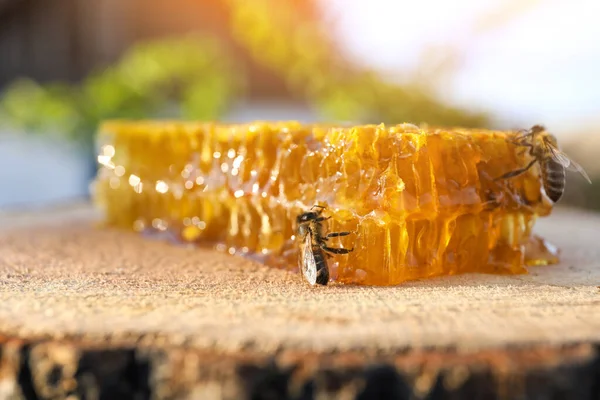 背景をぼかした木の切り株の上に蜂と新鮮なハニカムのピース クローズアップ — ストック写真
