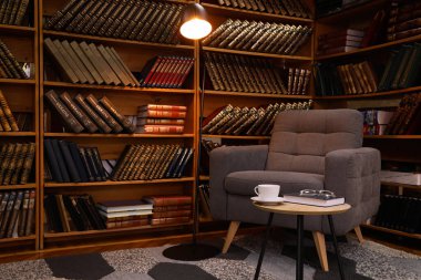 Rahat koltuk ve raflarda antika kitap koleksiyonuyla ev kütüphanesi iç mimarisi