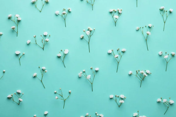 Piękne Cygańskie Kwiaty Turkusowym Tle Płaskie Leżaki — Zdjęcie stockowe