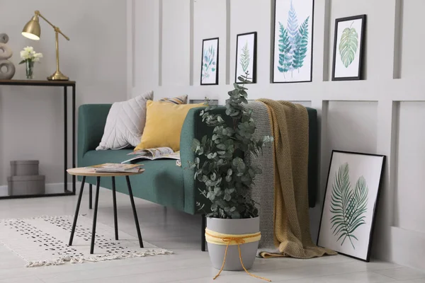 Salon Avec Mobilier Élégant Beaux Eucalyptus Éléments Décoratifs Design Intérieur — Photo