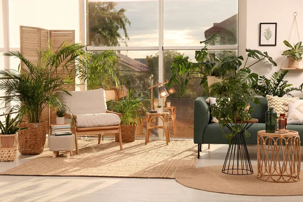 窓の近くに異なる観葉植物や家具とスタイリッシュな部屋のインテリア — ストック写真