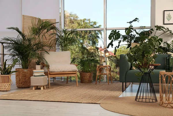 Стильный Интерьер Комнаты Удобной Мебелью Различными Экзотическими Комнатными Растениями — стоковое фото